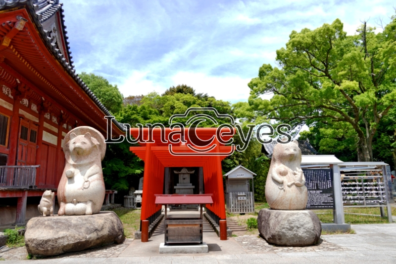 屋島神社2（香川県）