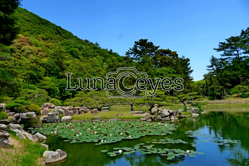 栗林公園４（香川県）