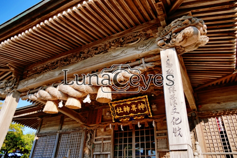 神崎神社３